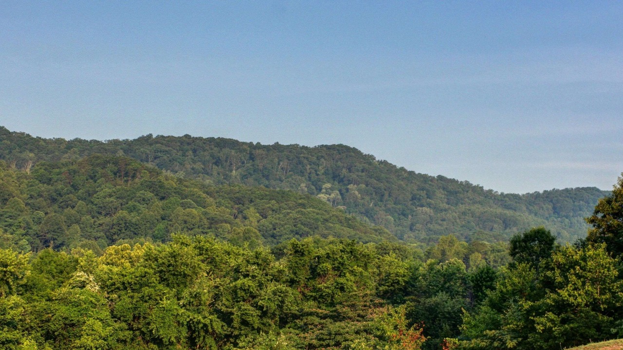 Photo of Others in Rocky Top