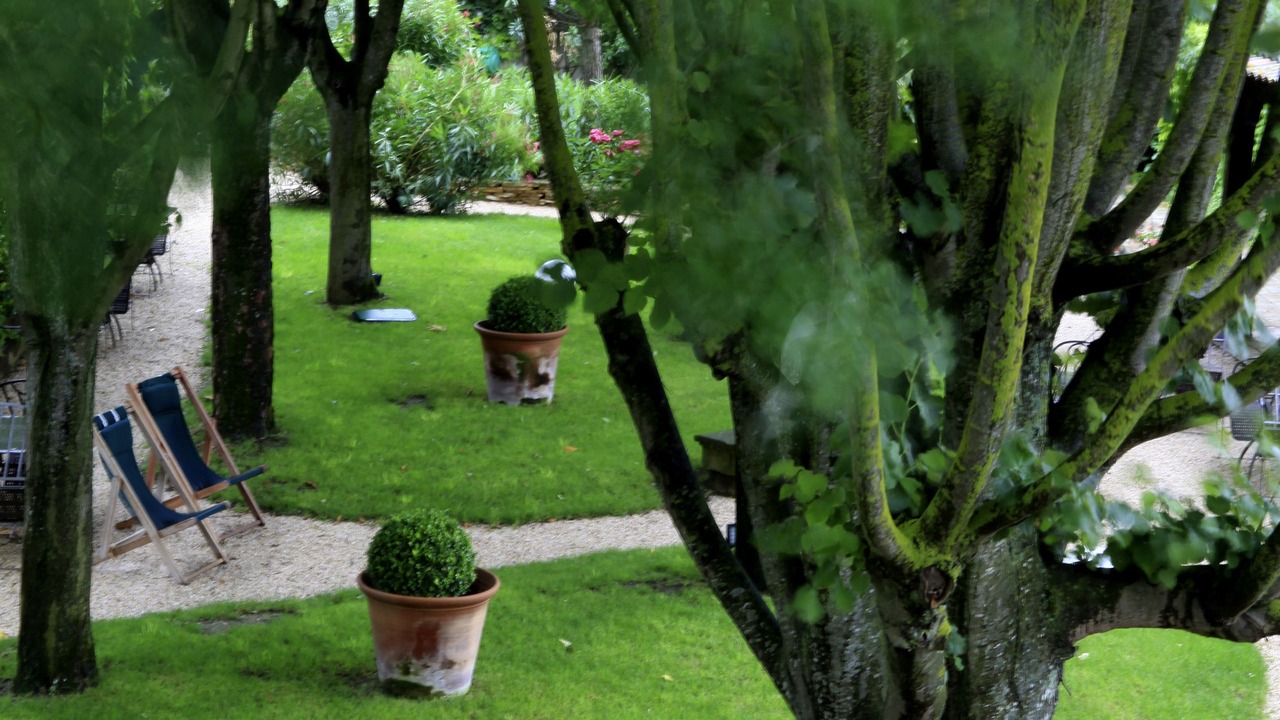 Photo of Outdoor in City of Carcassonne