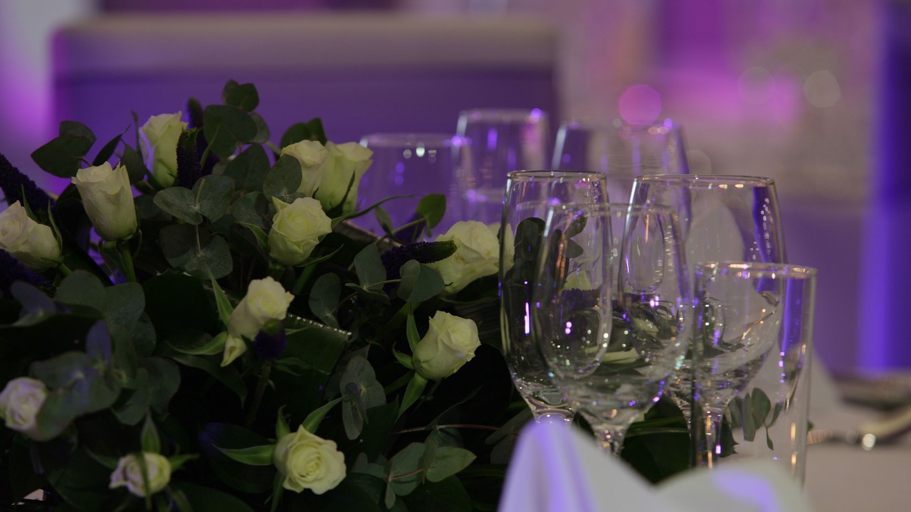 Photo of Others in Cove