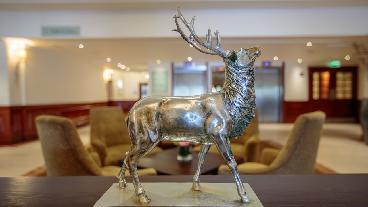 Photo of Others in Cove