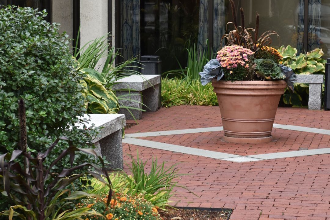 Photo of Outdoor in Norwood