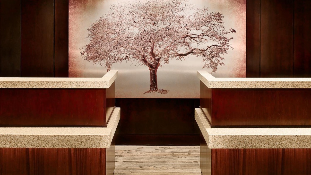 Photo of Others in Auburn