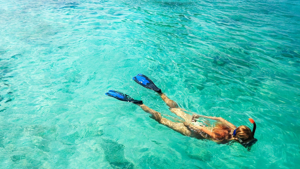 Photo of Others in Key Largo