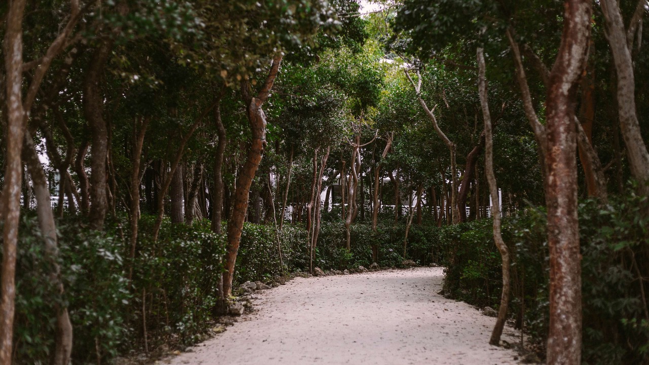 Photo of Outdoor in Key Largo