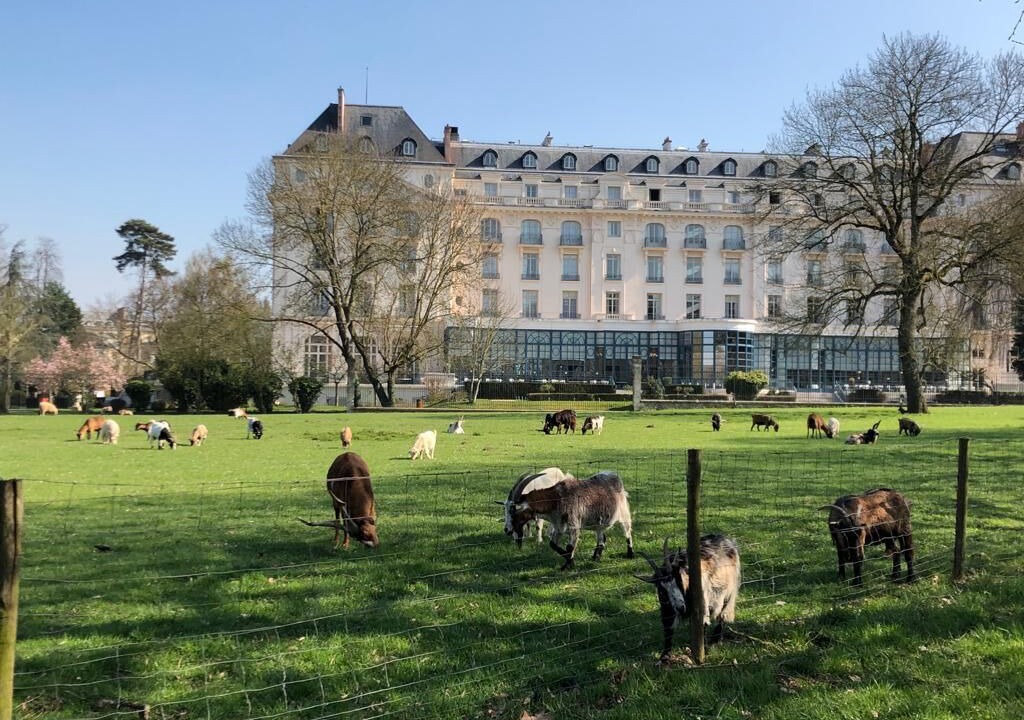 Photo of Outdoor in Notre-Dame