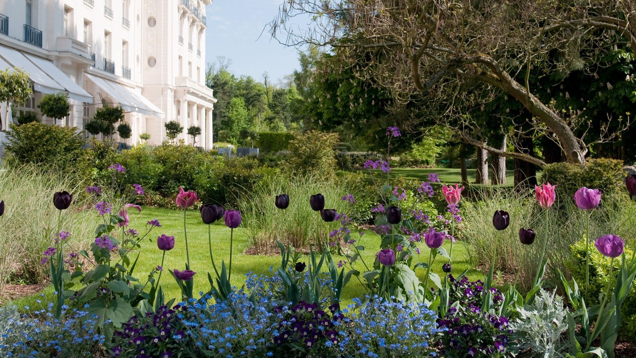 Photo of Outdoor in Notre-Dame