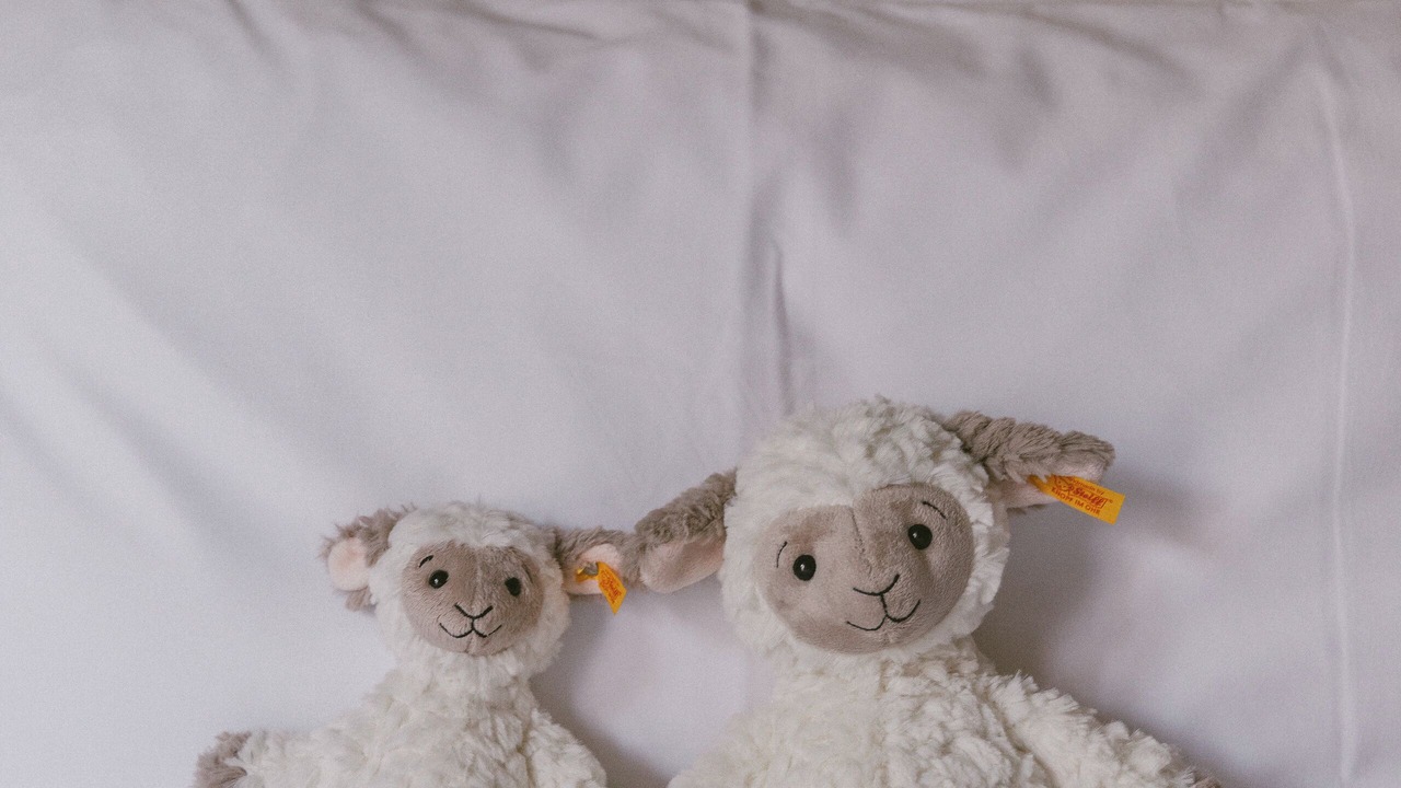 Photo of Bedroom in Notre-Dame