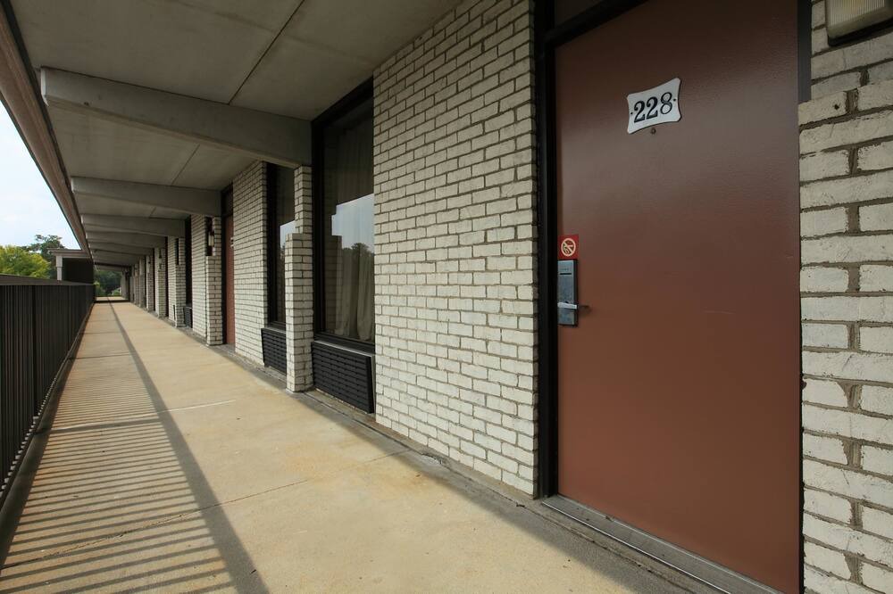 Photo of Outdoor in Northeast Raleigh