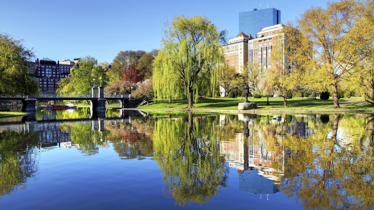 Photo of Others in Downtown Boston