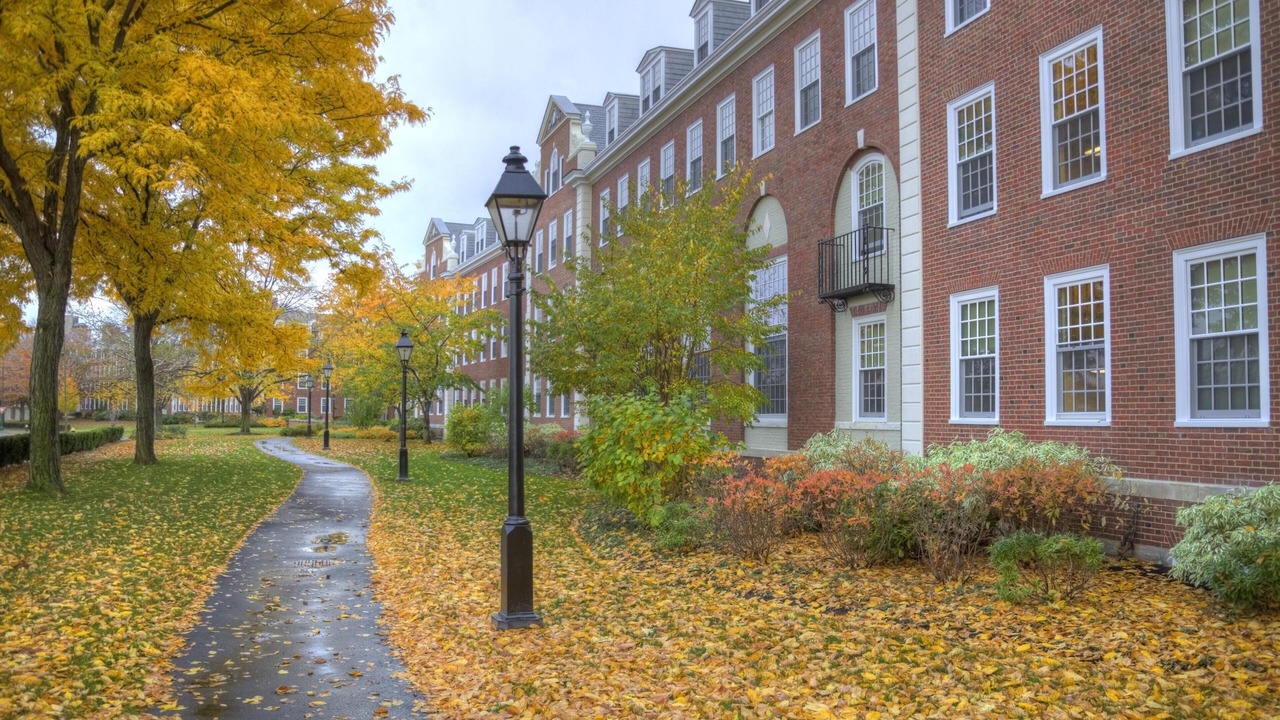 Photo of Others in Downtown Boston