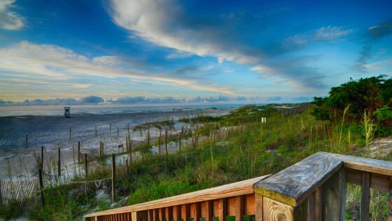 Photo of Outdoor in Shell Island