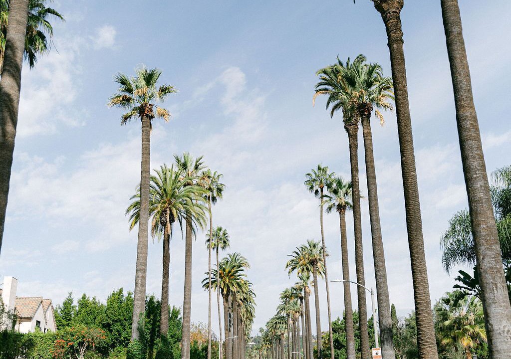 Photo of Others in Beverly Hills