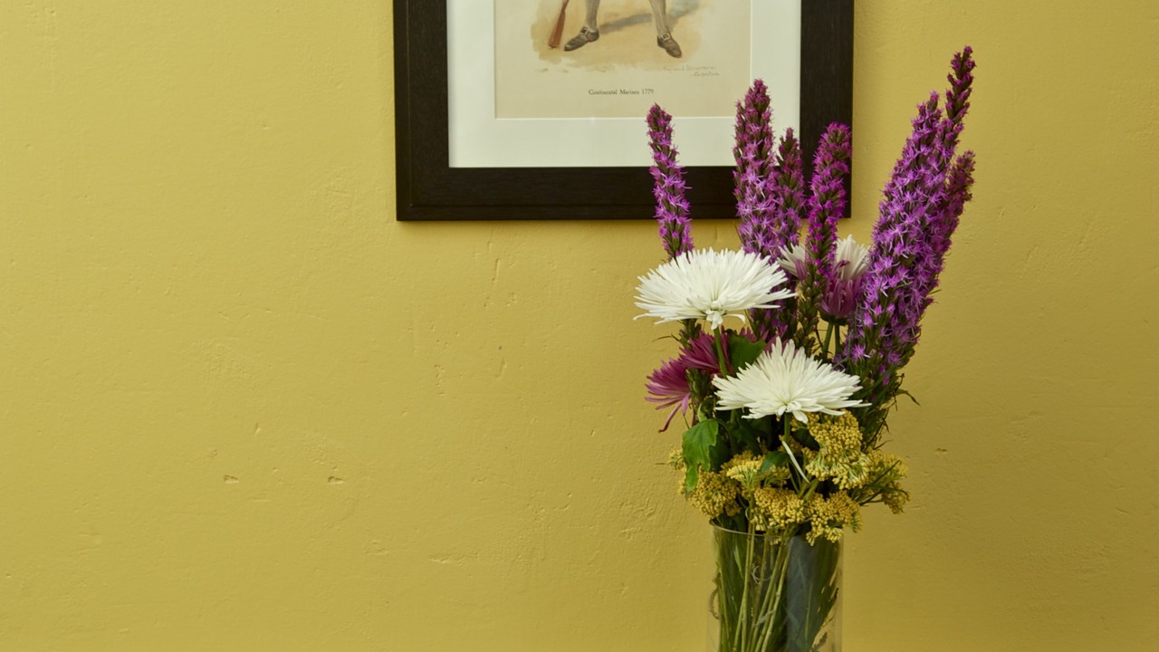 Photo of Others in Concord