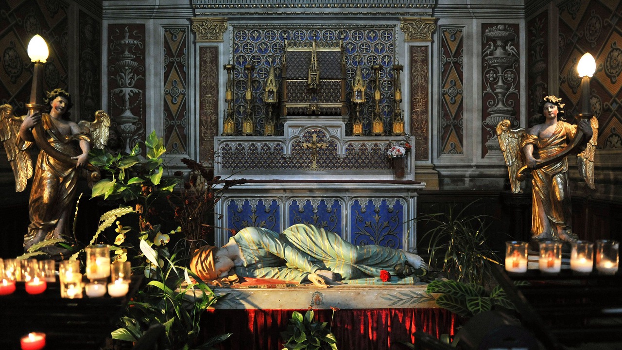 Photo of Outdoor in Albi