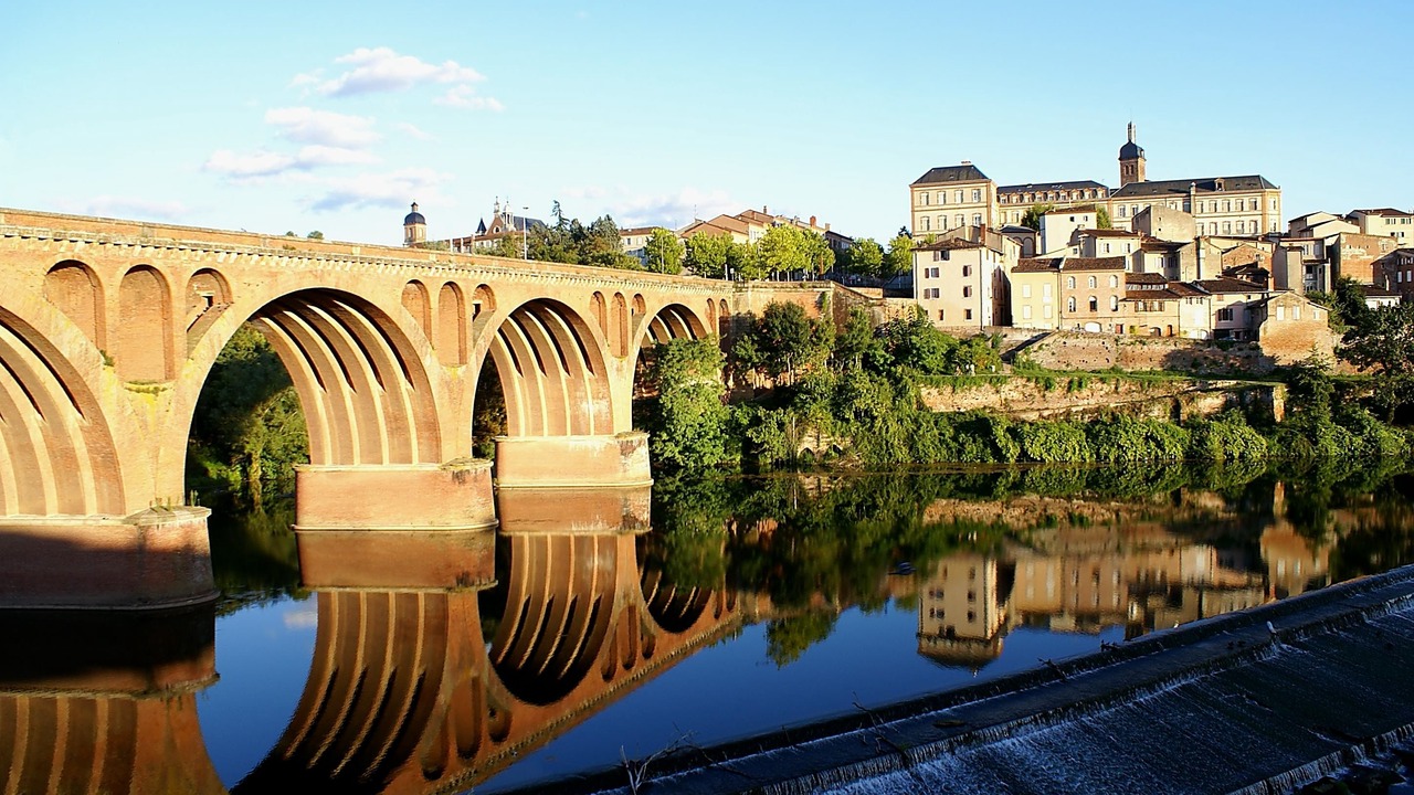 Photo of Buildings in Albi