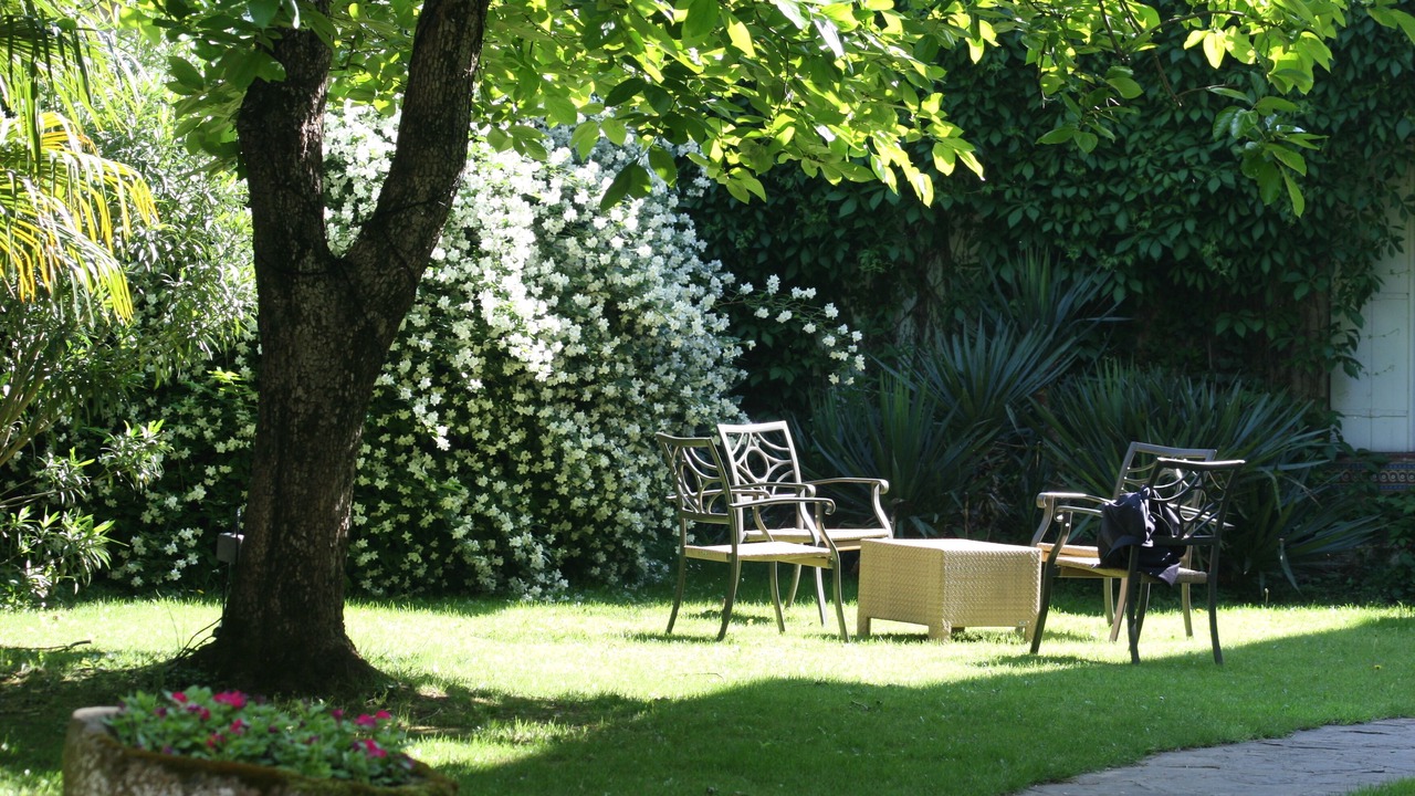 Photo of Bedroom in Albi
