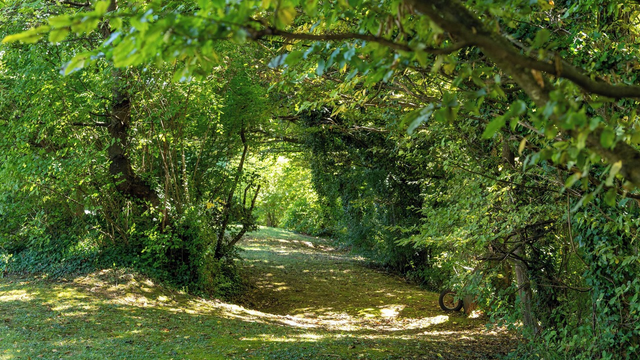 Photo of Outdoor in Claix