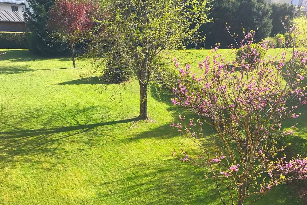 Photo of Others in Sallanches