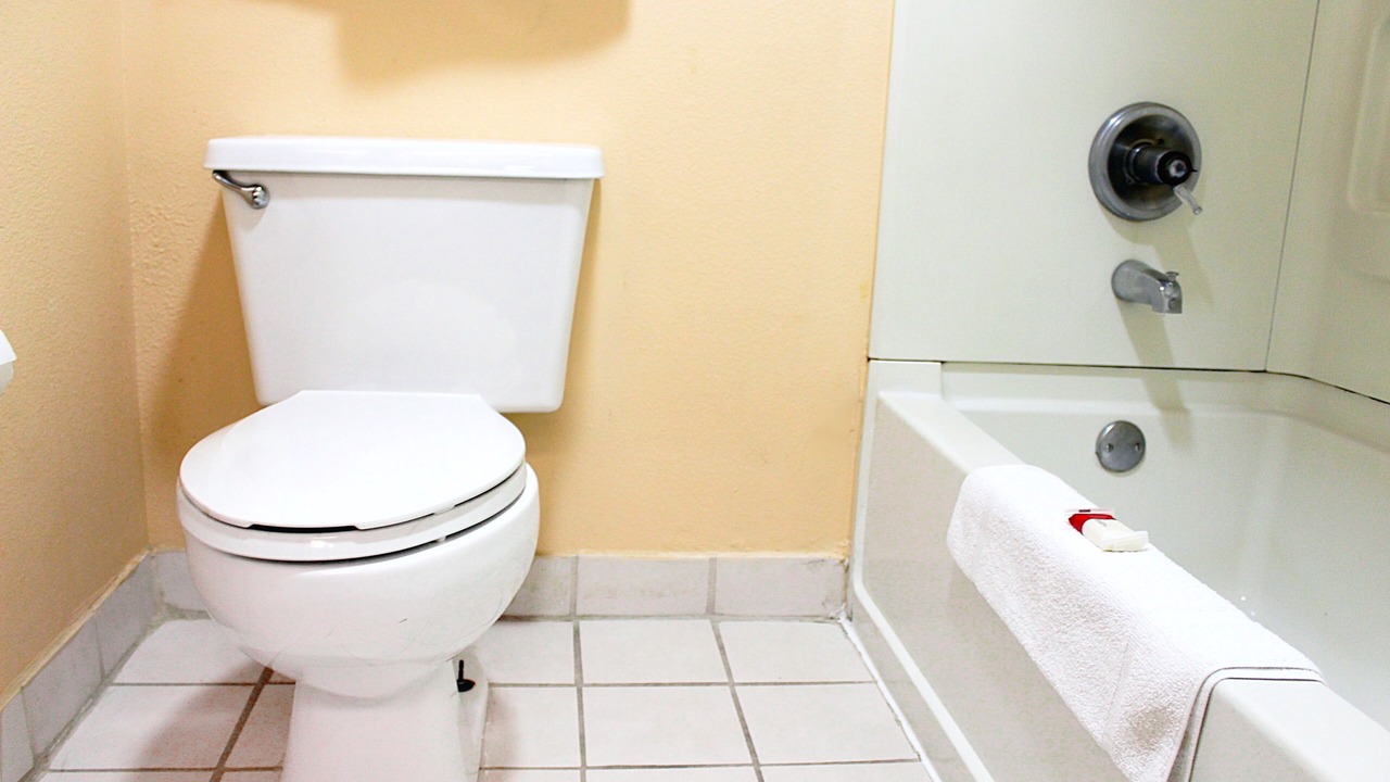 Photo of Others in Springfield