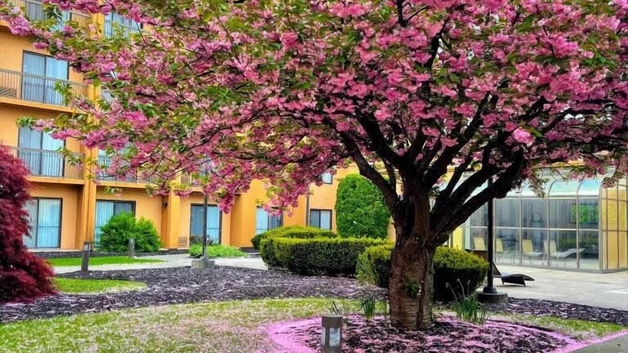 Photo of Outdoor in Fishkill