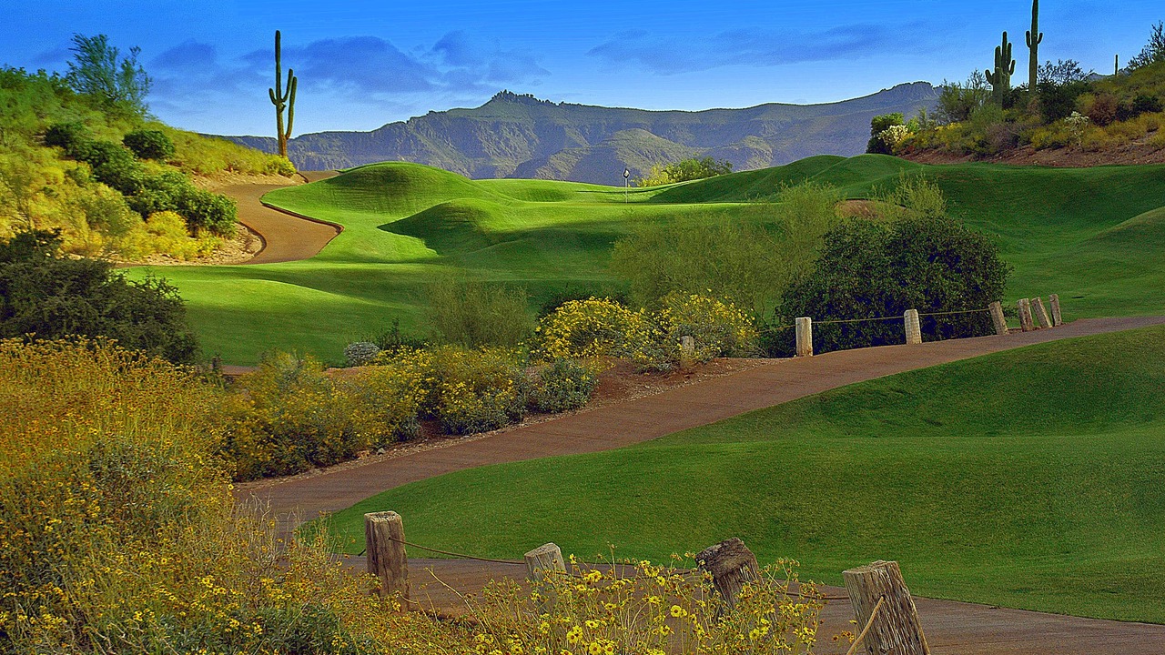 Photo of Others in Gold Canyon