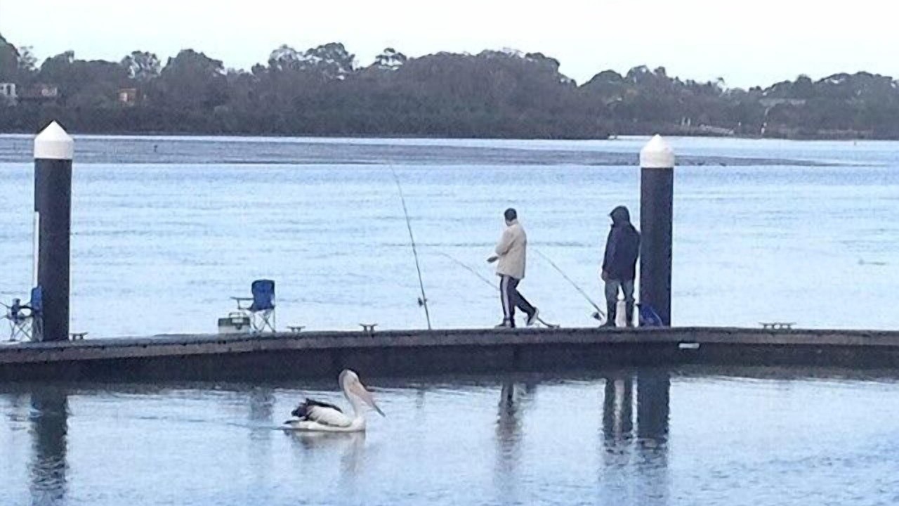 Photo of Others in Ocean Grove