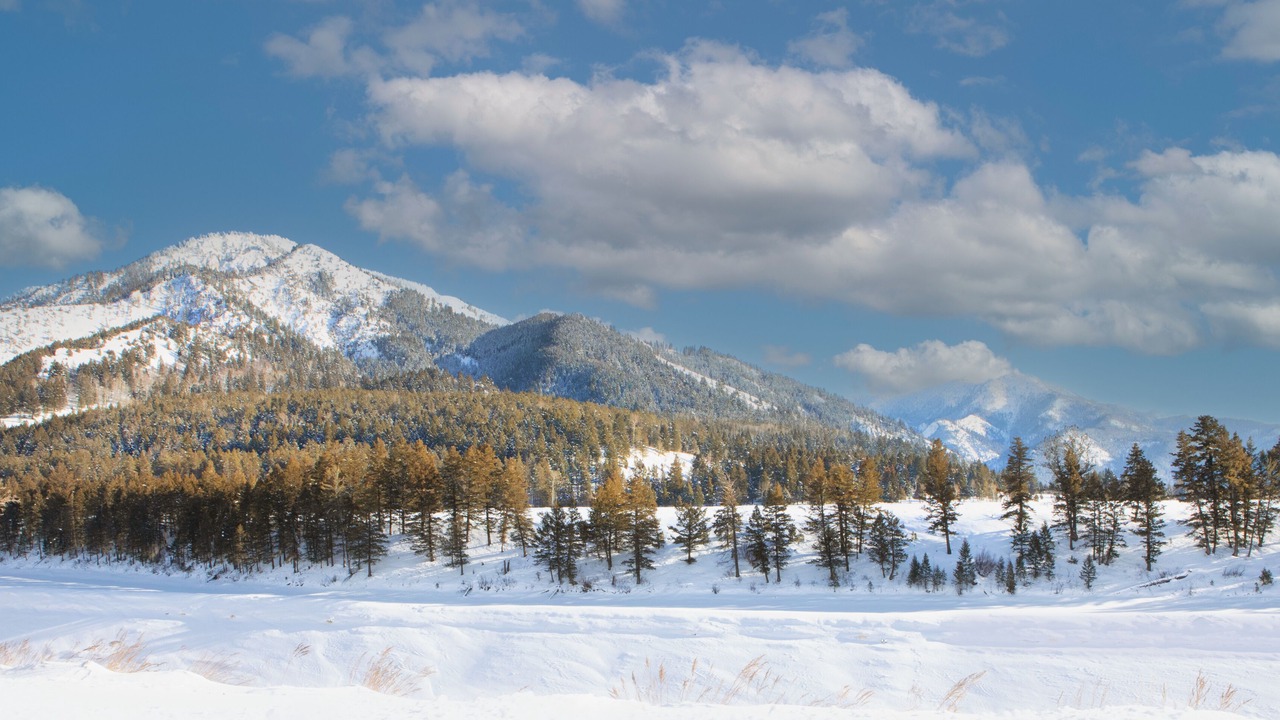 Photo of Others in Alpine