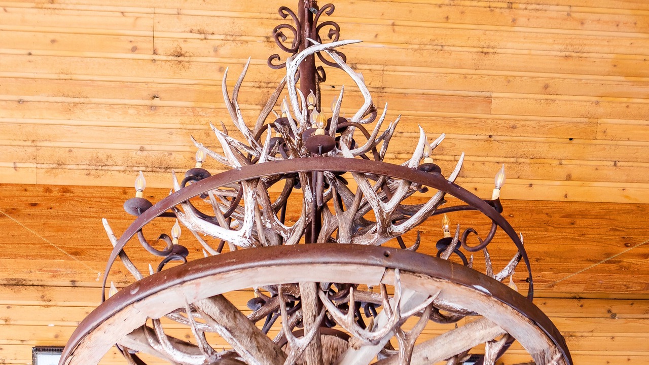 Photo of Outdoor in Alpine