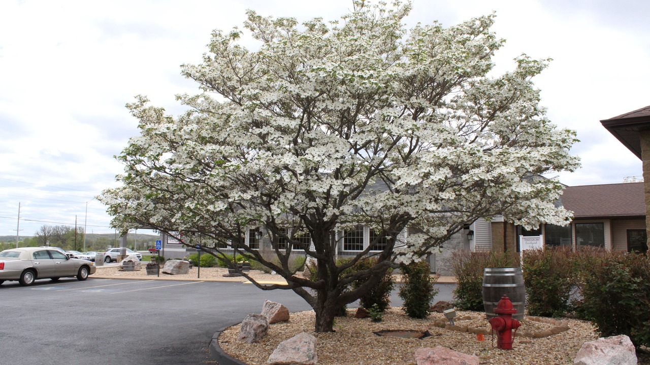 Photo of Outdoor in Farmington