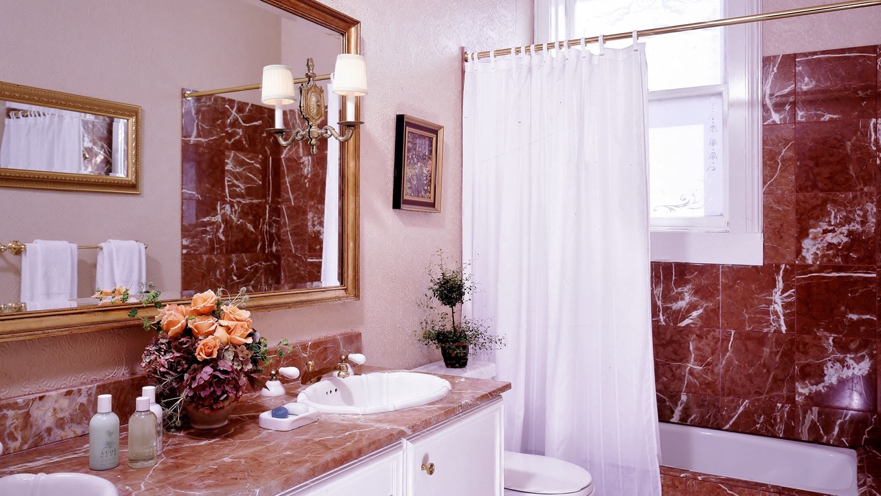 Photo of Others in Lower Pacific Heights