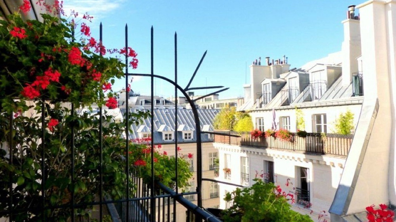 Photo of Outdoor in Paris City Center