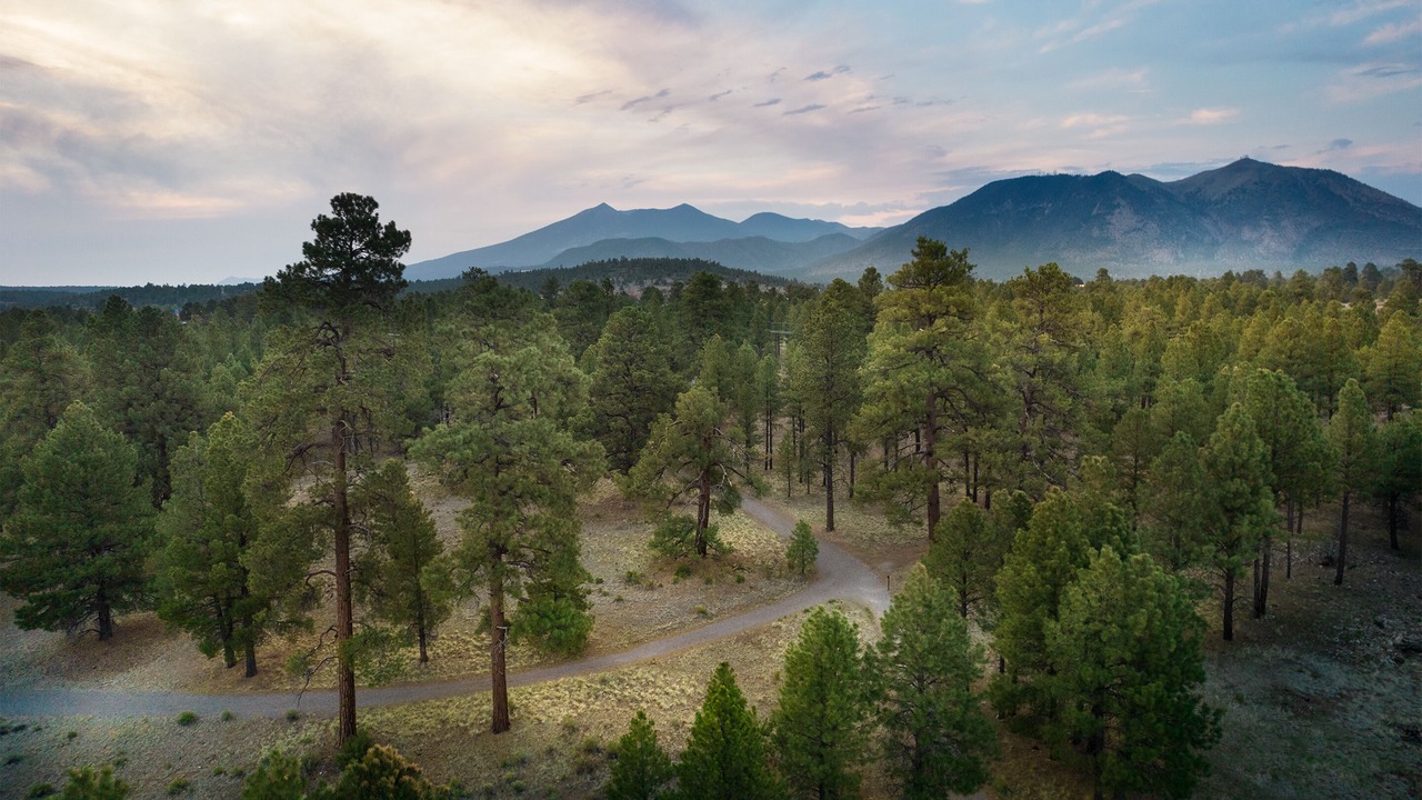Photo of Outdoor in Flagstaff
