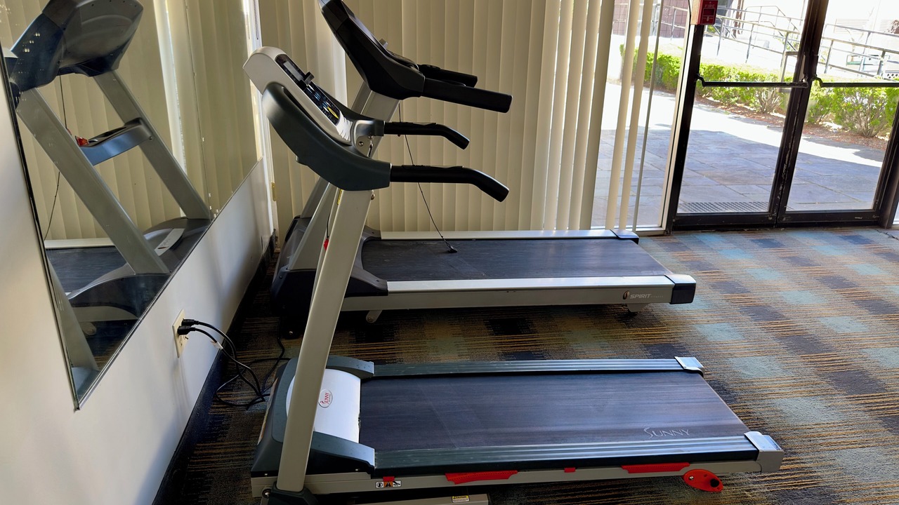 Photo of Others in Somerset