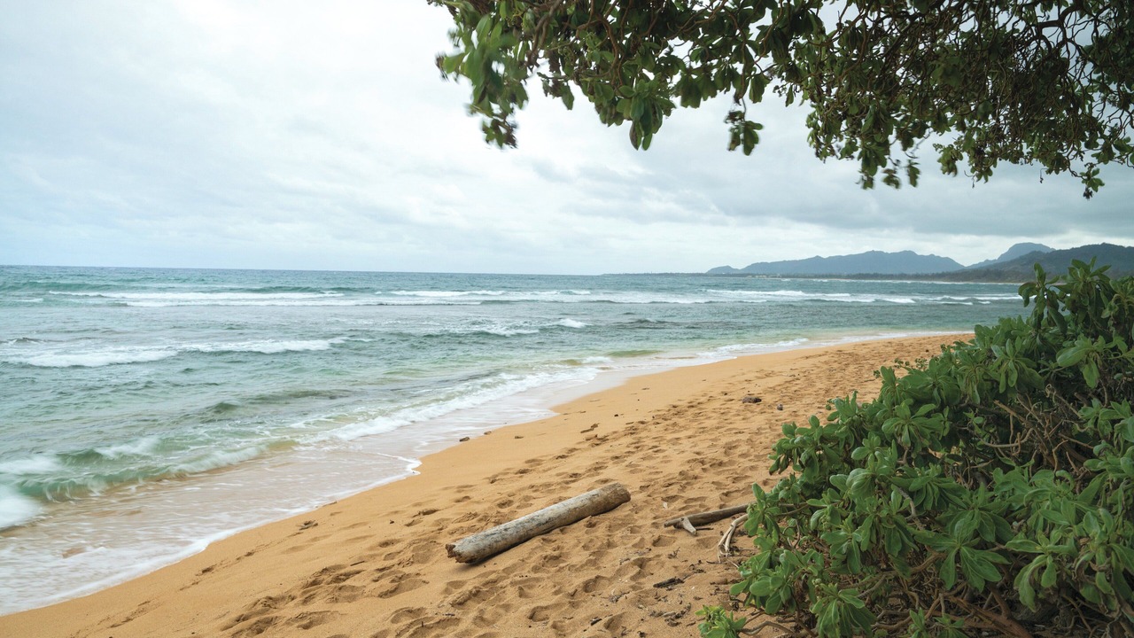 Photo of Others in Wailua