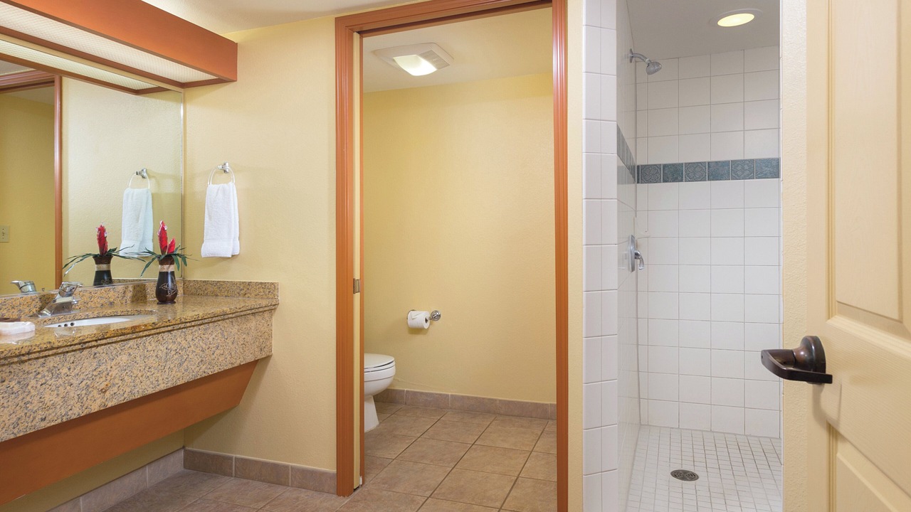 Photo of Others in Wailua