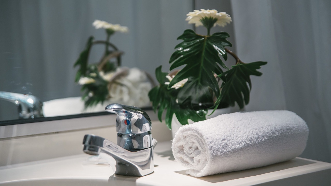 Photo of Others in Saint-Serge