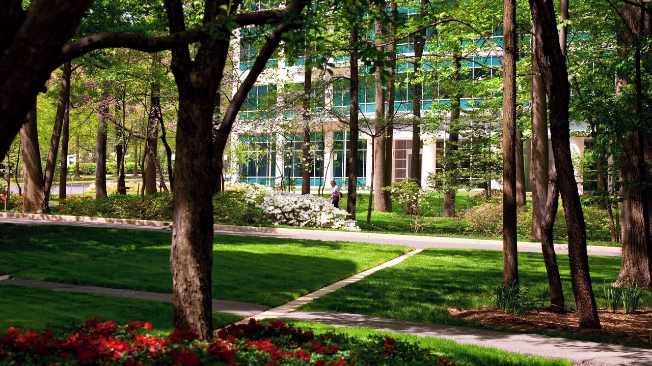 Photo of Outdoor in Falls Church
