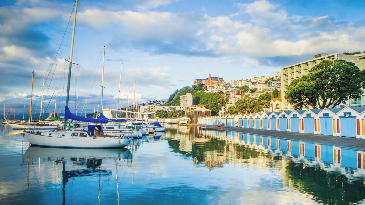 Photo of Others in Wellington