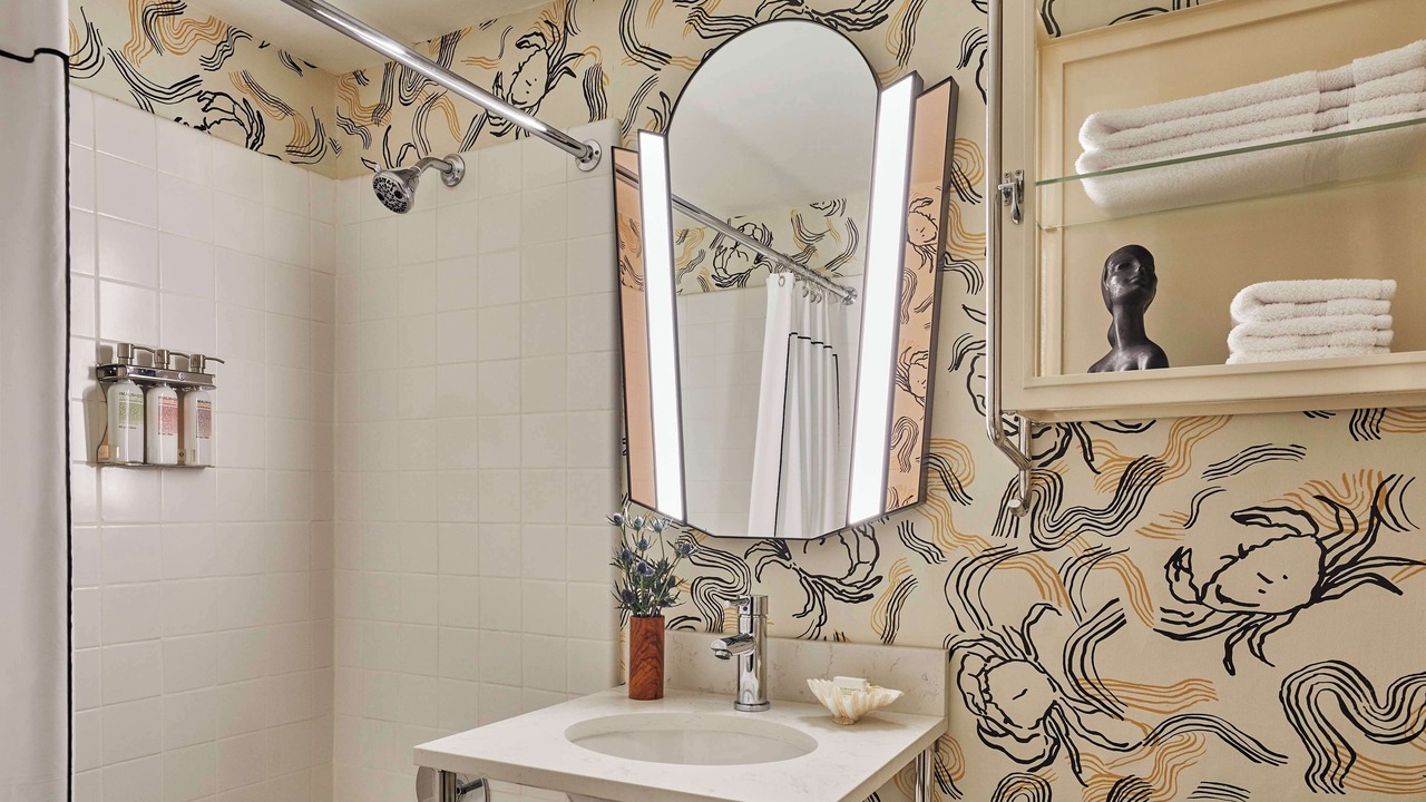 Photo of Others in University District