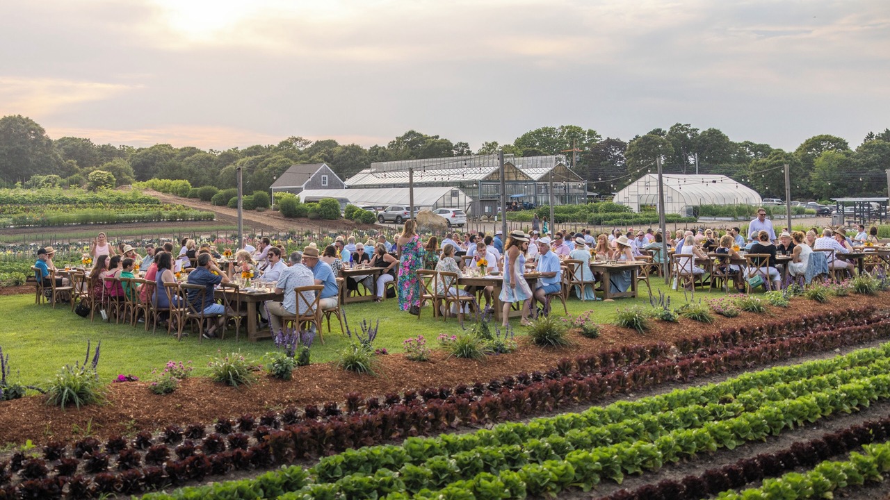 Photo of Others in Chatham