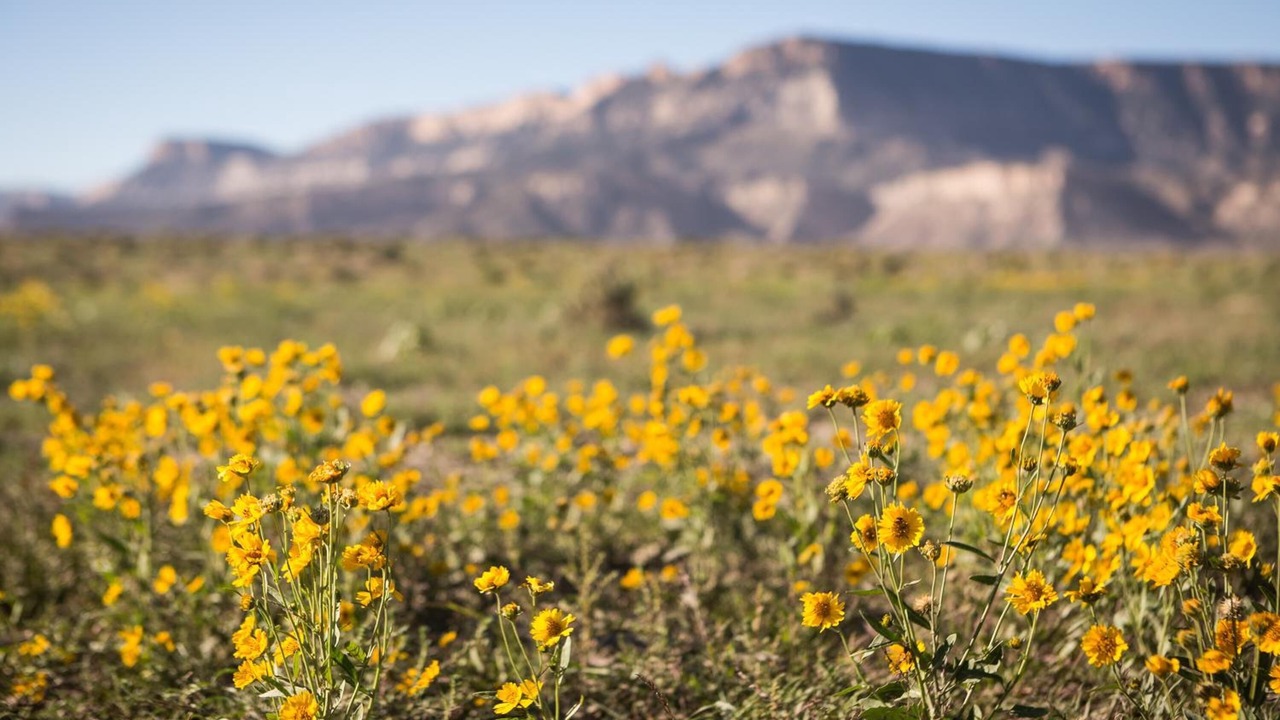 Photo of Outdoor in Kayenta