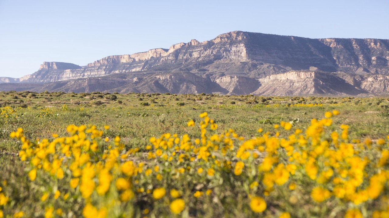 Photo of Outdoor in Kayenta