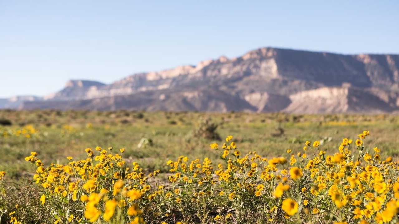 Photo of Outdoor in Kayenta