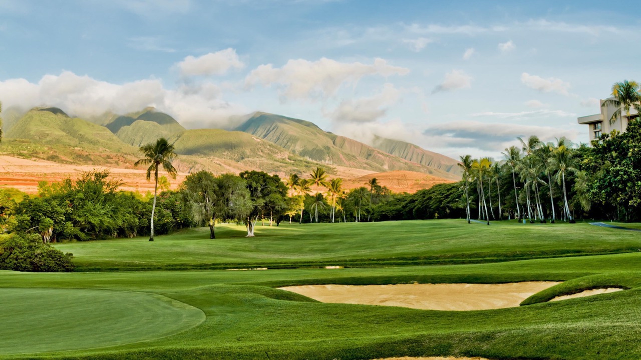 Photo of Others in Kaanapali