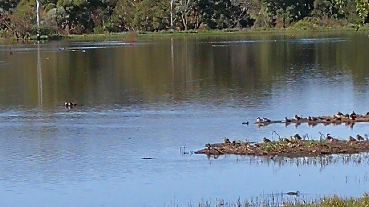 Photo of Outdoor in Loftville