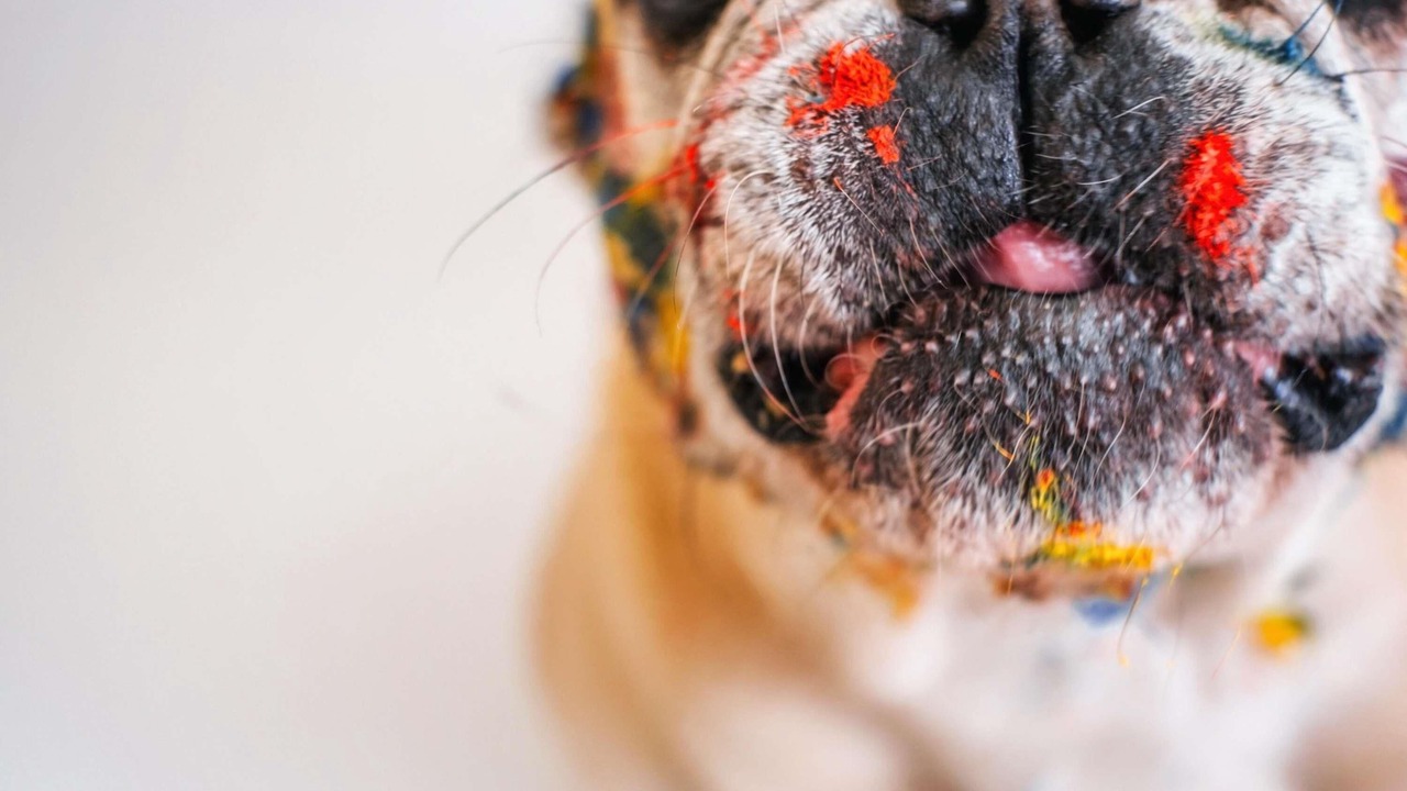Photo of Others in Chambray-les-Tours