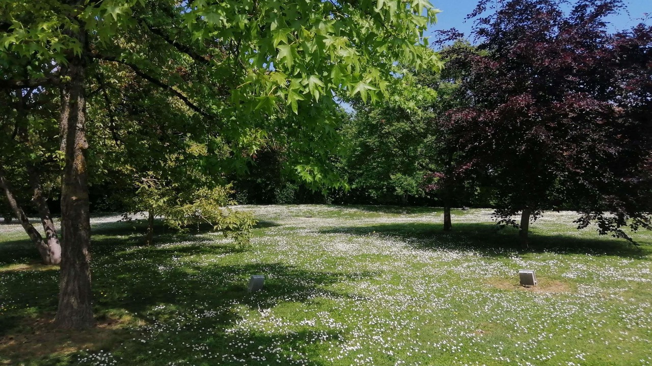 Photo of Others in Chambray-les-Tours