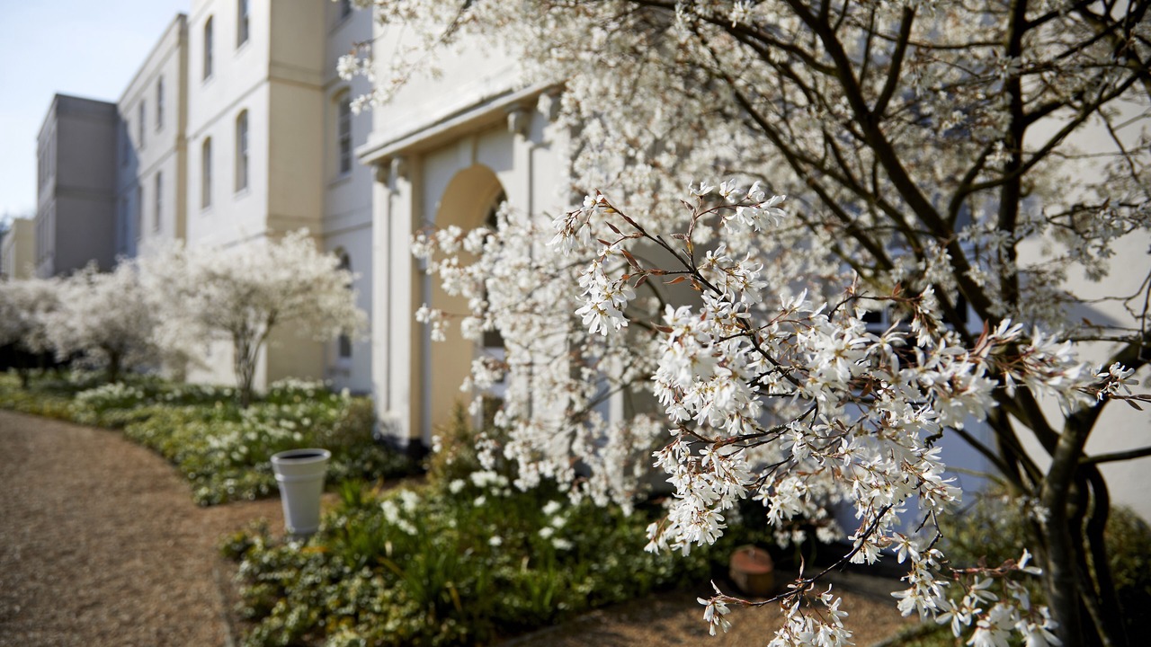 Photo of Outdoor in St Albans