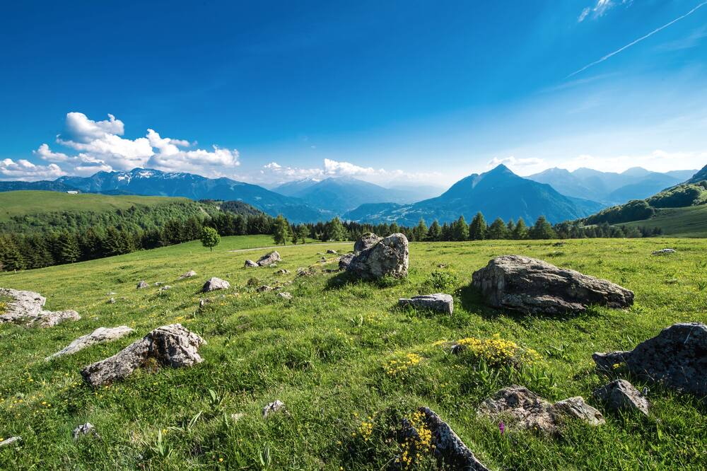 Photo of Outdoor in Albertville
