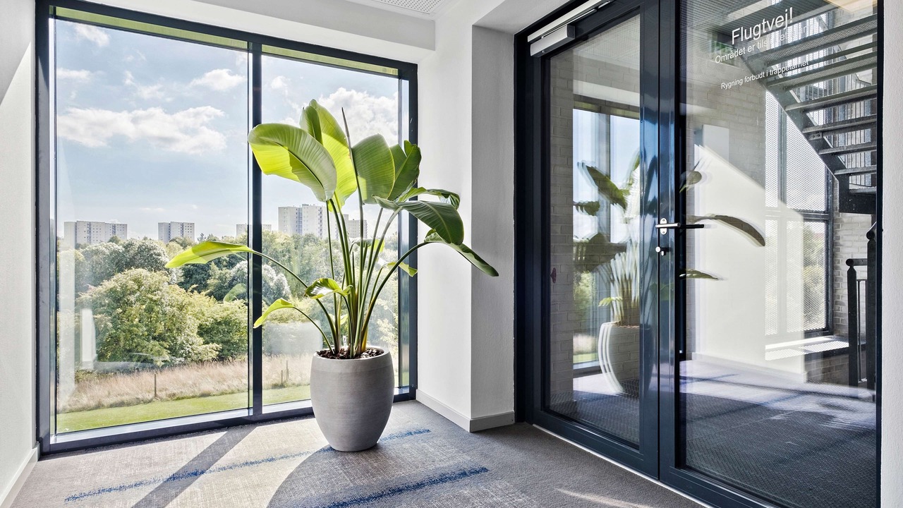 Photo of Others in Fredericia